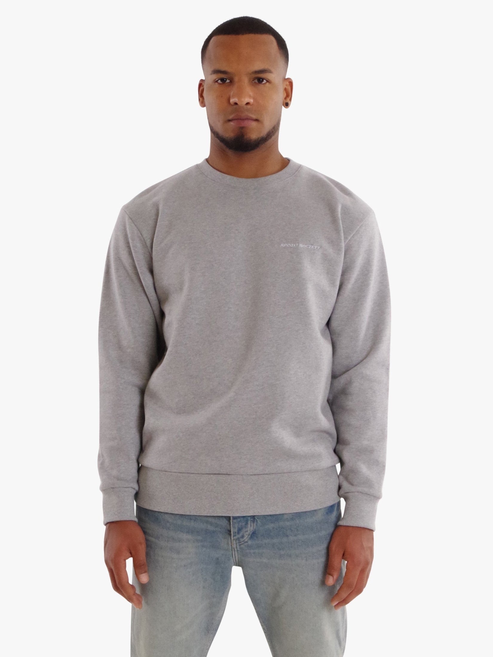 Crewneck Basic Grey