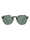 Minimalist Essentials Sunglasses & Earrings